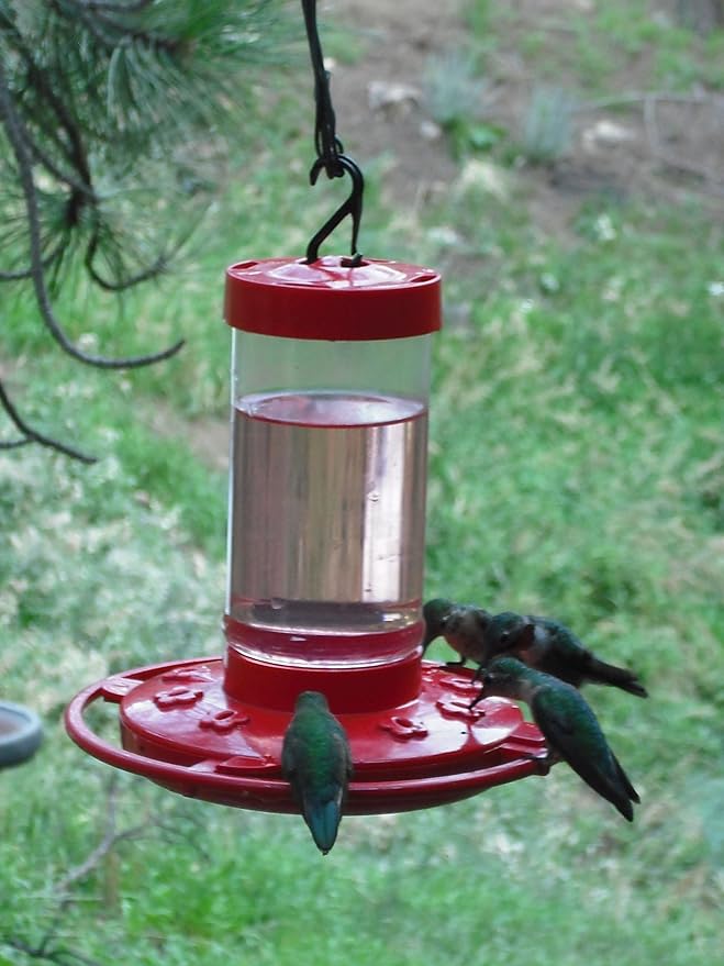 First Nature 993051-546 16 oz. Hummingbird Feeder, Red