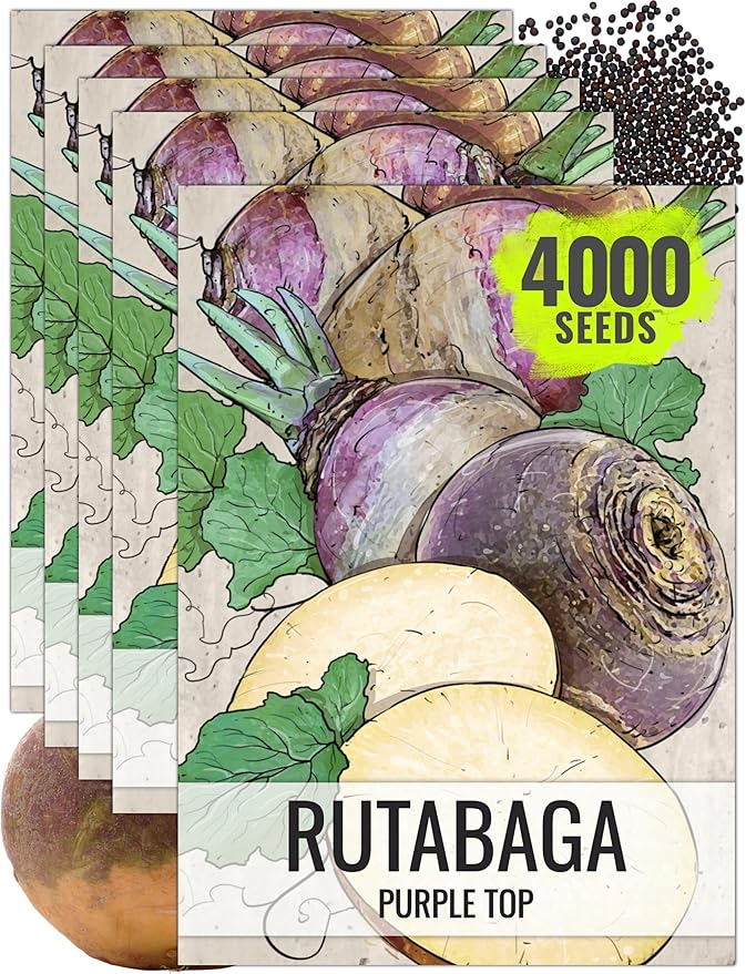 Seed Needs Rutabaga Seeds for Planting Purple Top Rutabagas - Non-GMO Heirloom & Open Pollinated Vegetable Seeds to Plant an Outdoor Home Grown Veggie Garden (5 Packs)