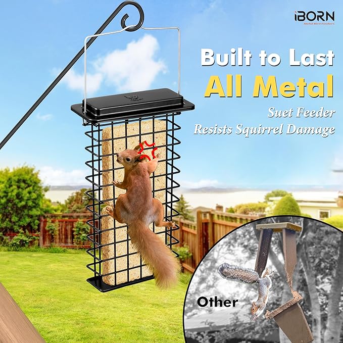 iBorn Metal Double Suet Feeder,Durable Suet Cake Cage Bird Feeder for Outdoors Hanging，Metal Roof Bird Feeder with Taller Grid for Woodpeckers,Large Suet Holder,Easy Clean & Refill,1 Pack,Black