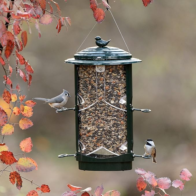 Squirrel-X 111IN Bird Feeder, Dark Green