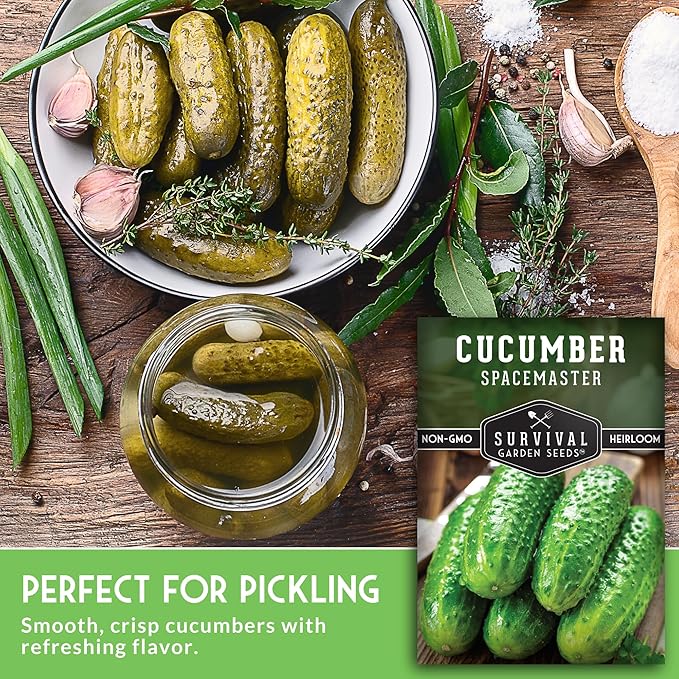 Spacemaster Cucumber Seeds for Planting | Compact Heirloom Non-GMO Variety for Small-Space Gardens – Survival Garden Seeds (1 Pack)
