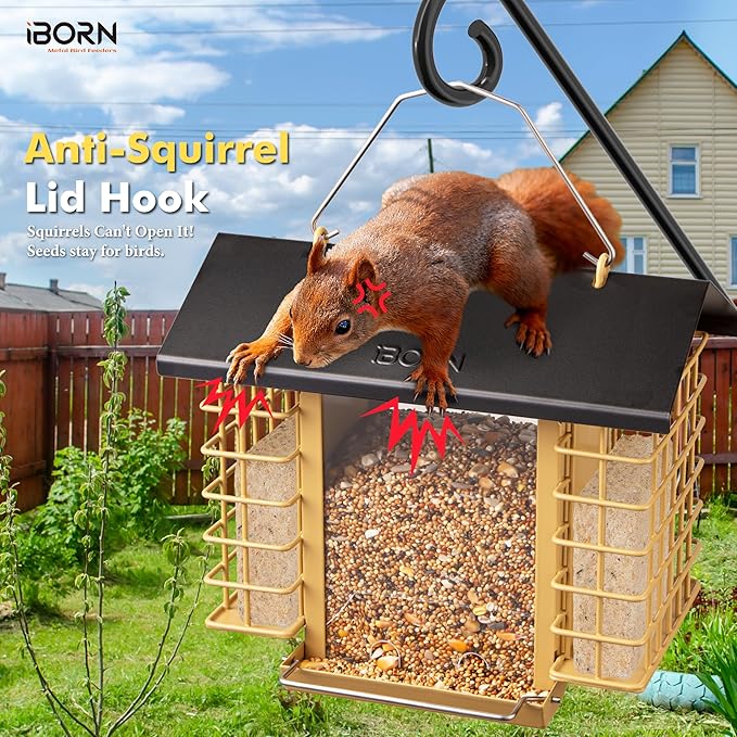 iBorn Bird Feeders for Outdoors,Bird Feeder with Double Suet Holders,Suet Feeder for Outside,Weatherproof Metal Roof,Easy to Refill&Clean,3.2 LBs Seed Capacity+2X Cakes,1 Pack,Black Roof & Yellow Grid