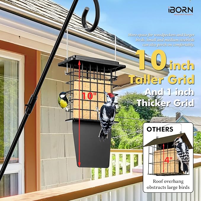 iBorn Metal Suet Feeder with Tail Prop | Durable Suet Cake Cage Bird Feeder for Outdoors，Woodpecker Feeder for Outside Hanging，Heavy-Duty Suet Holder,Easy Clean & Refill,1 Pack,Black