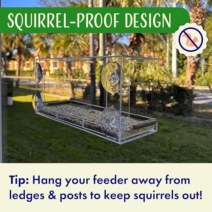 Clear Window Bird Feeder - Sturdy & Easy to Install with Strong Suction Cups-Detachable Design for Effortless Cleaning-Perfect Wildlife Watching by Cats, Kids & Elderly-Window Bird Feeders for Outside