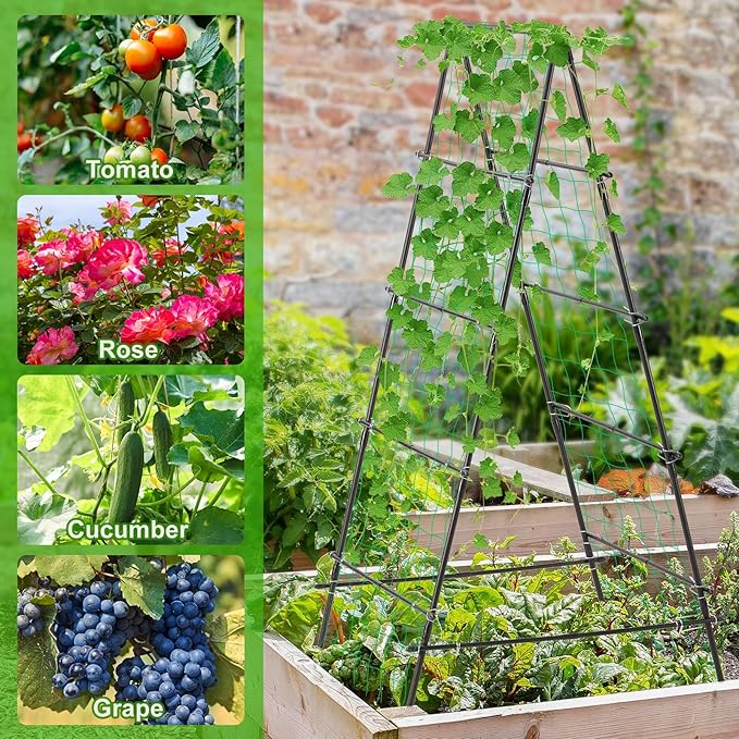 Garden Trellis for Climbing Plants, 71" H x 32" W Metal A-Frame Cucumber Trellis Outdoor Fruits Watermelon Vegetable Tomato Squash Peas Beans, with Netting, Black