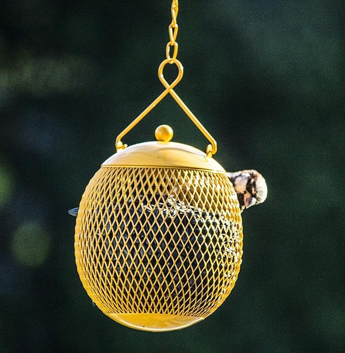 Backyard Expressions - Set of 3 Squirrel Proof Bird Feeders for Outside - Bonus Ebook and Bird Attraction Audio Included - Squirrel Resistant Bird Feeders
