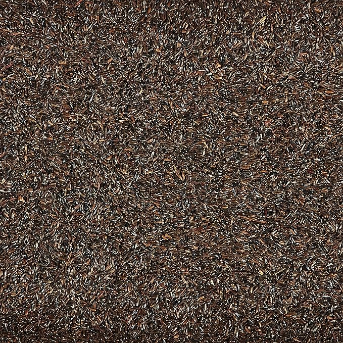 Kaytee Nyjer Wild Bird Food Seed, 3 Pound