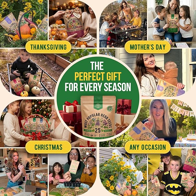 25 Most Popular Herb Seeds Variety Pack - 11,700 Non-GMO Heirloom Seeds for Planting Herbs in Individual Seed Packets for Hydroponic, Indoor & Outdoor Gardening
