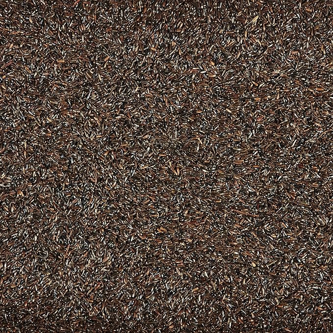 Kaytee Nyjer Wild Bird Food Seed, 5 Pound