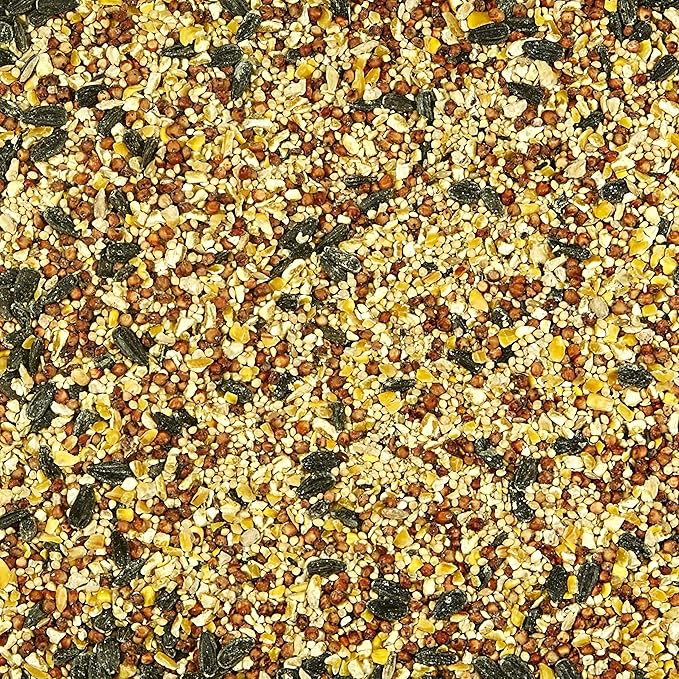 Kaytee All American Wild Bird Food Seed Blend for Cardinals, Blue Jays, Finches & Other Outdoor Wild Birds, 5 Pounds