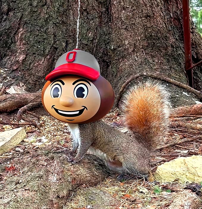 Brutus Buckeye Squirrel Feeder by Nutt Heads Ohio – Officially Licensed Ohio State University Product | OSU Outdoor Yard Decor for Fans & Garden Gift Idea