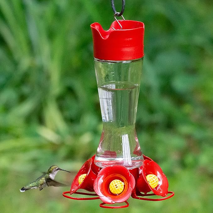 Perky-Pet Favored Pinch-Waist Glass Hummingbird Feeder with Built-in Ant Moat and Bee Guards - 16 oz Capacity - 204CP-4