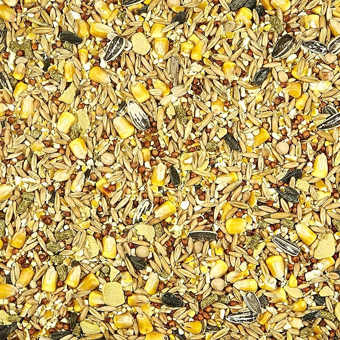 Kaytee Backyard Wildlife Food Blend for Wild Squirrels, Chipmunks, Rabbits and Other Backyard Wildlife, 5 Pound (Pack of 2)