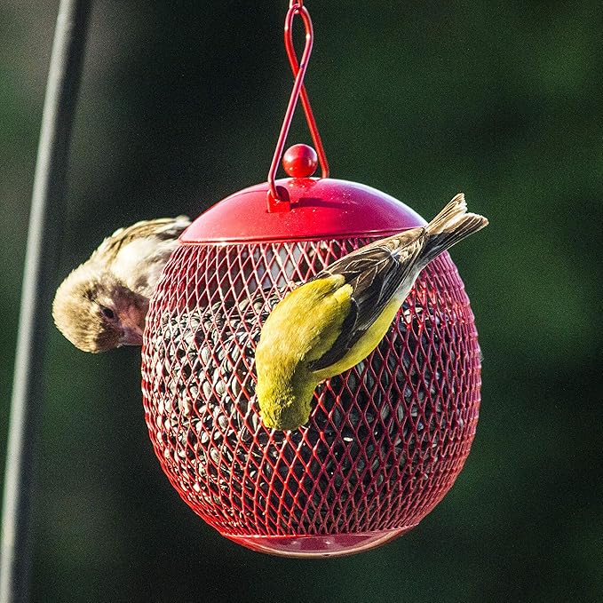 Backyard Expressions 3-Pack Metal Mesh Bird Feeders for Outdoors – Red, Blue & Yellow Squirrel-Resistant Hanging Feeders for Cardinals, Finches & Songbirds – Durable All-Weather Design