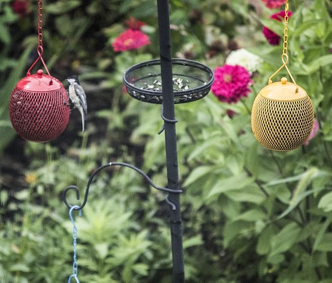 Backyard Expressions - Set of 3 Squirrel Proof Bird Feeders for Outside - Bonus Ebook and Bird Attraction Audio Included - Squirrel Resistant Bird Feeders