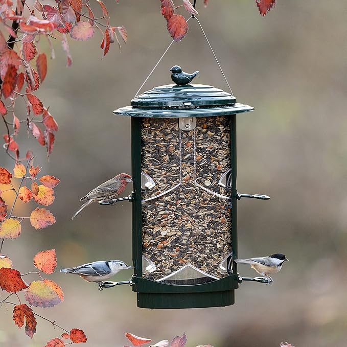 Squirrel-X 111IN Bird Feeder, Dark Green